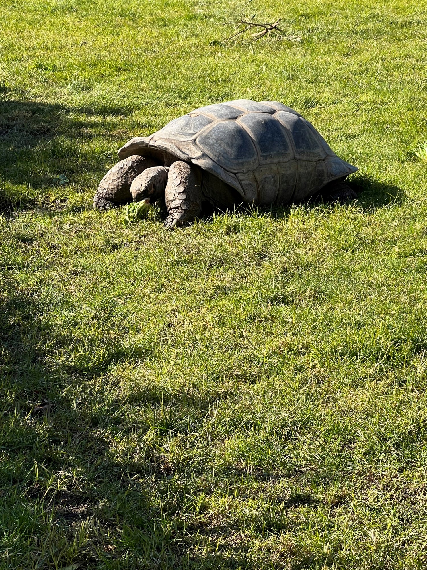 /uploaded_files/media/gallery/1659494482zoo 4.jpg